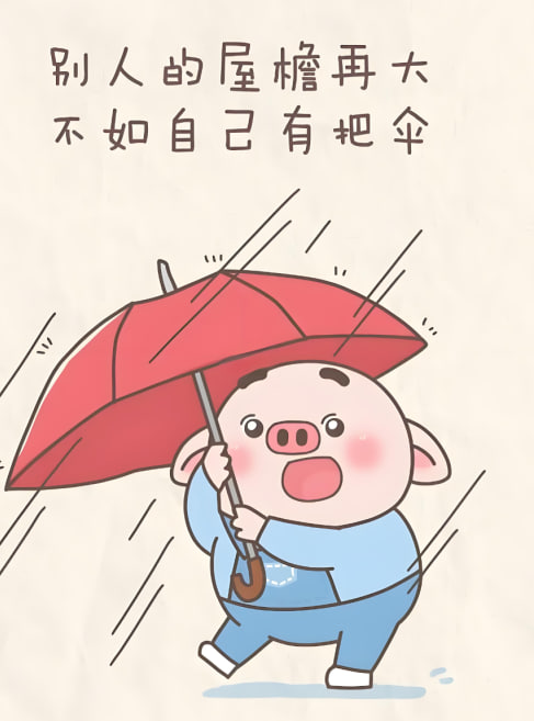 《迷雾追踪》